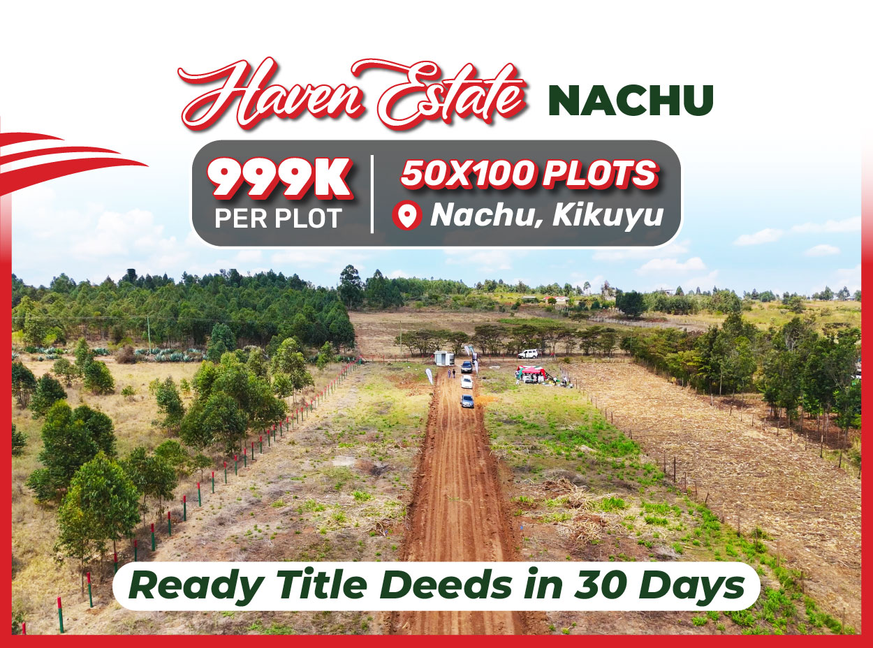 HAVEN ESTATE-NACHU